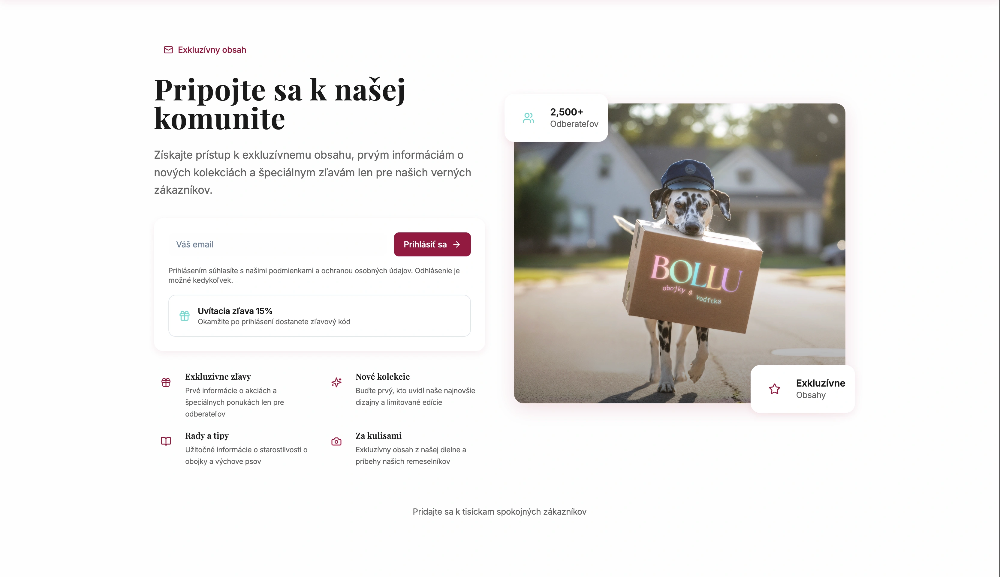 Bollu gallery — 4