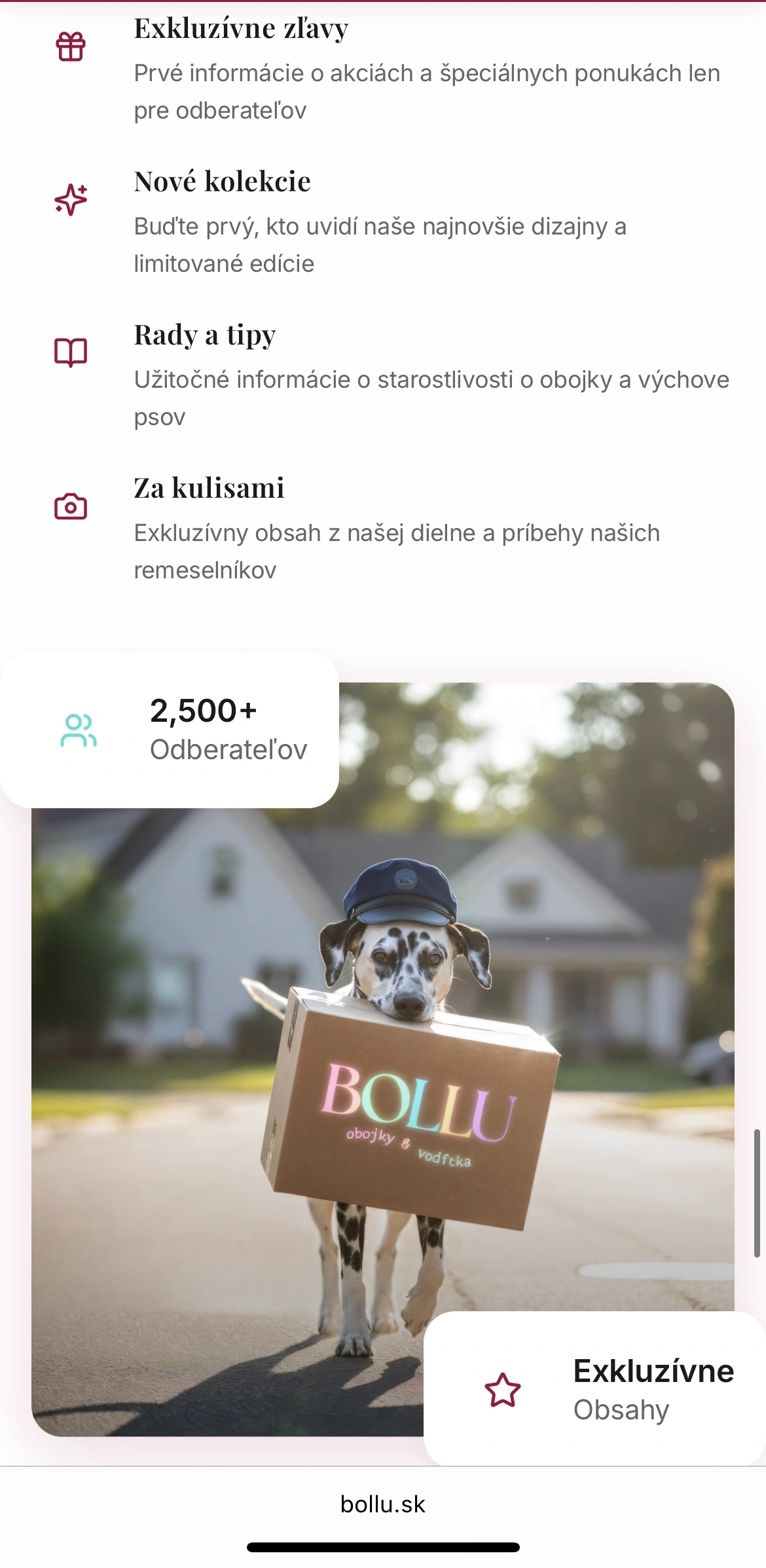 Bollu mobile — 5